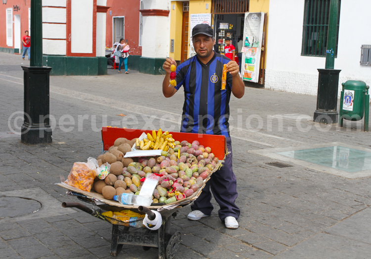 Fruits exotiques à Trujillo