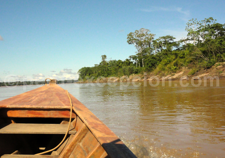 Navigation en Amazonie