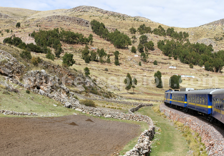 Train de Cuzco à Machu Picchu Pueblo