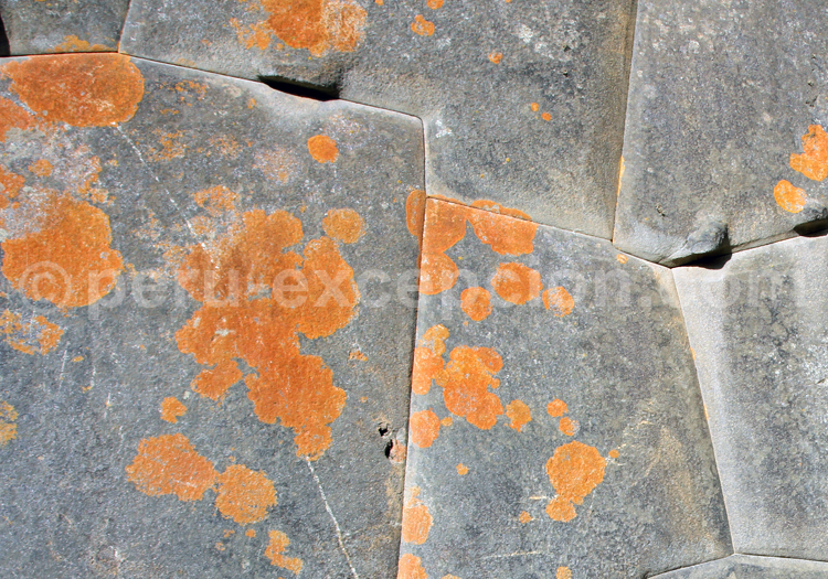 Vestiges recouverts de lichens