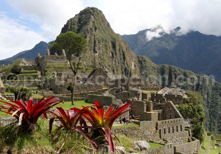 Le site du Machu Picchu