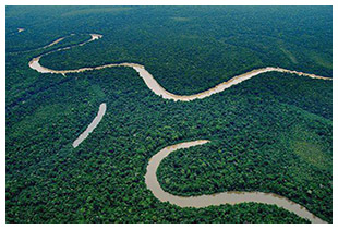 Parc national de Yaguas