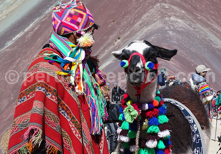 Communautées de Pampachiri, Pitumarca, Canchis et Cusco avec l'agence de voyage Perú Excepción